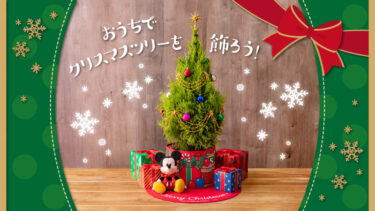 東京ディズニーリゾート限定のクリスマスツリーが登場☆特別な生木ツリーセットの内容や注文方法をご紹介♪