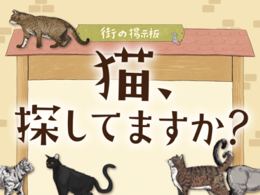 【イクスピアリ】かわいい猫アイテム＆フードが期間限定登場！猫探しでプレゼントが当たるキャンペーンも♪